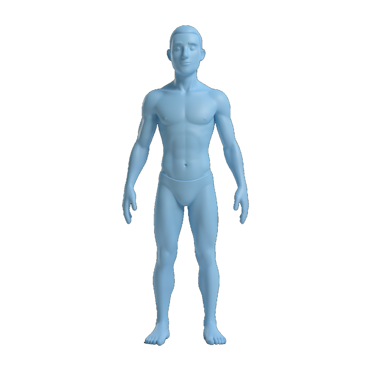 Purrfit body progress frame